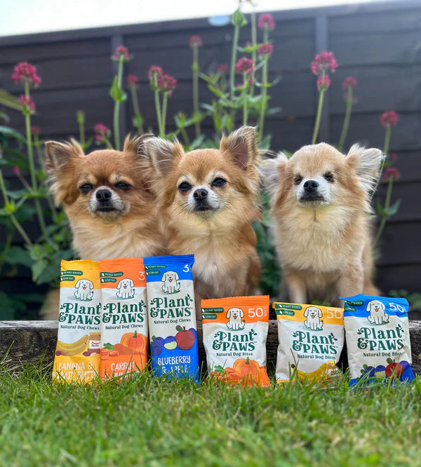 Flavour Bundle