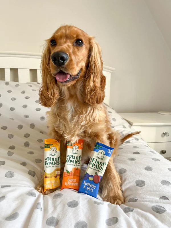 Double the Chews