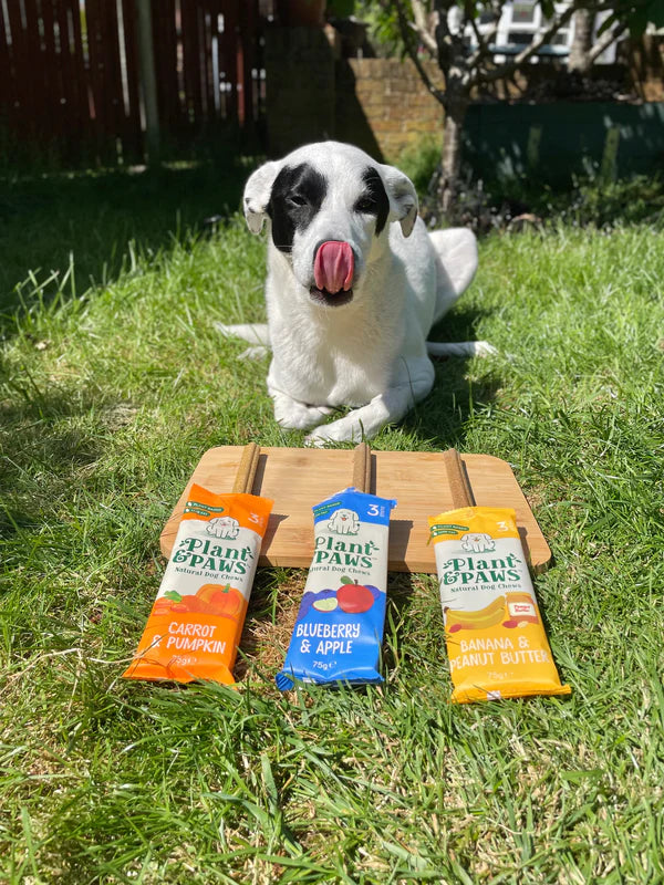 Double the Chews