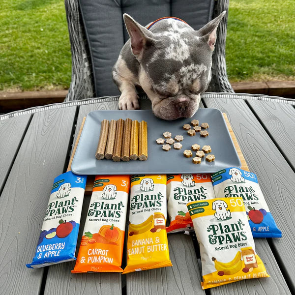 Flavour Bundle