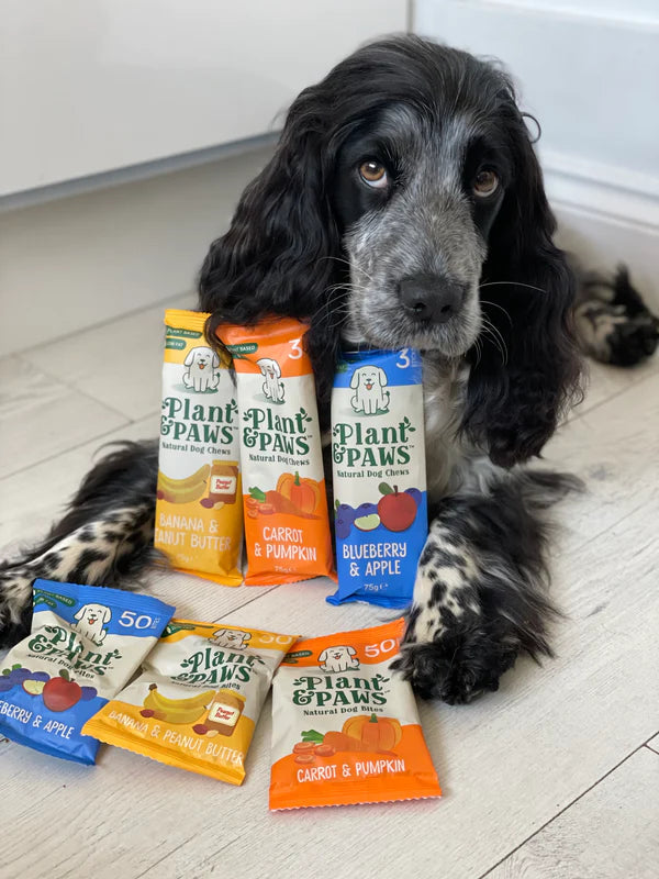 Flavour Bundle
