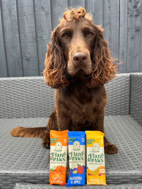 Double the Chews