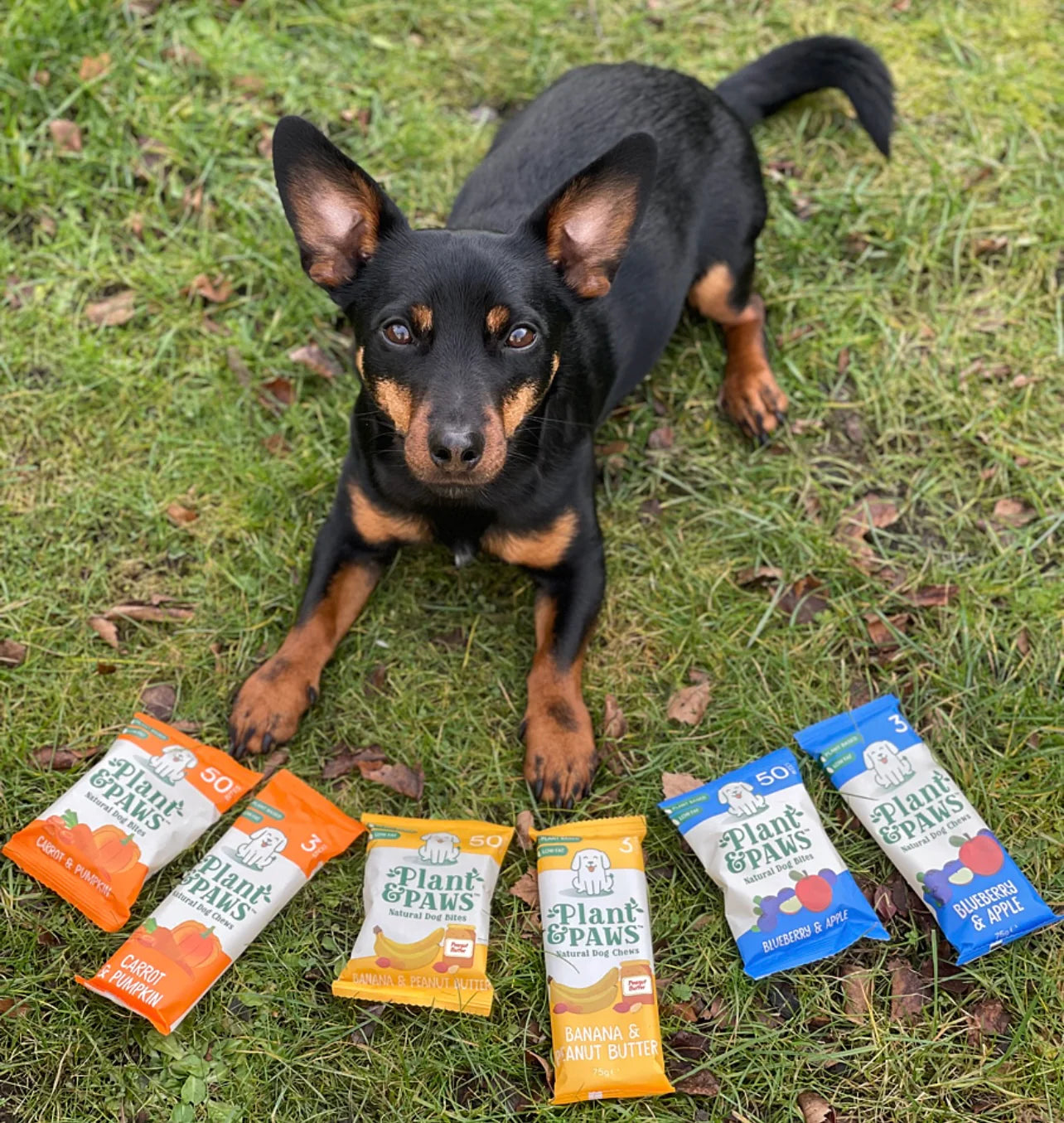 Flavour Bundle