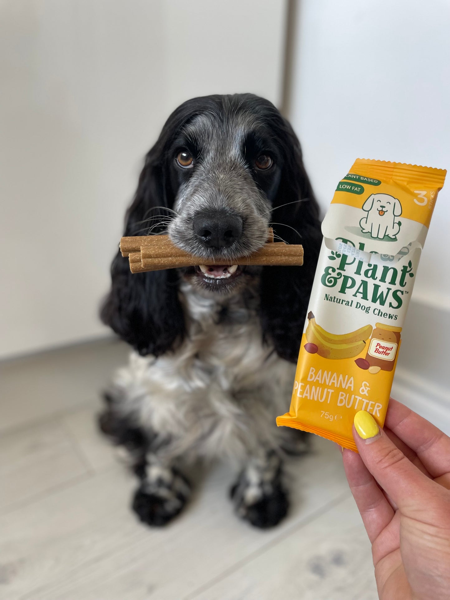 5 Pack Banana and Peanut Butter Dog Chews