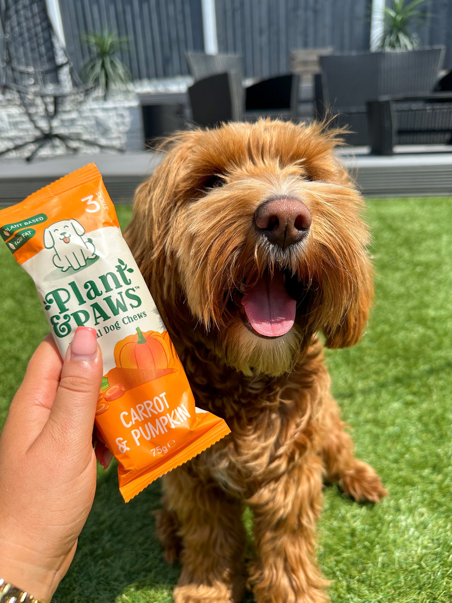 5 Pack Carrot and Pumpkin Dog Chews