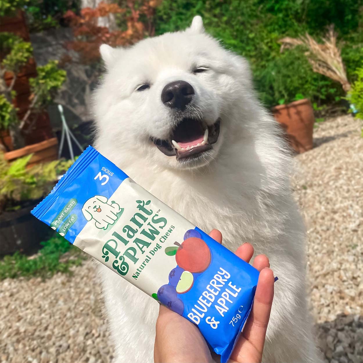 Blueberry and Apple Dog Chews