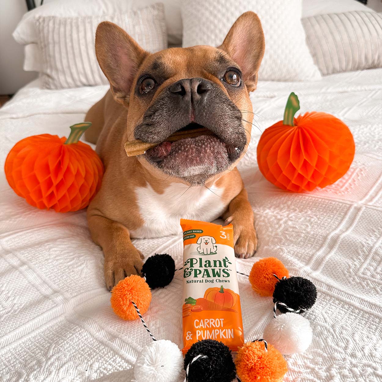 Carrot and Pumpkin Dog Chews