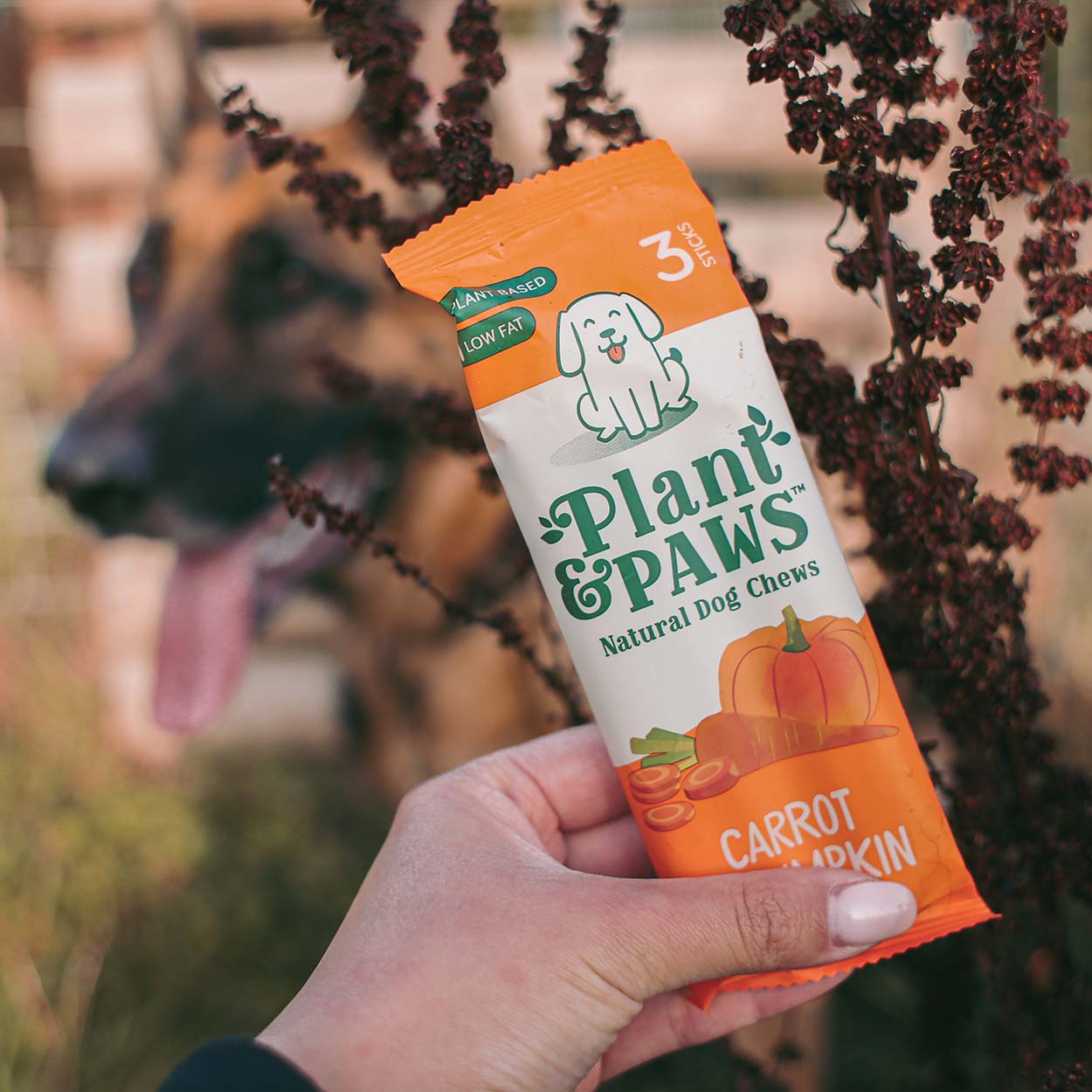 Carrot and Pumpkin Dog Chews