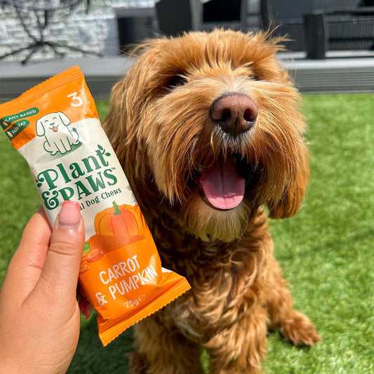 Carrot and Pumpkin Dog Chews