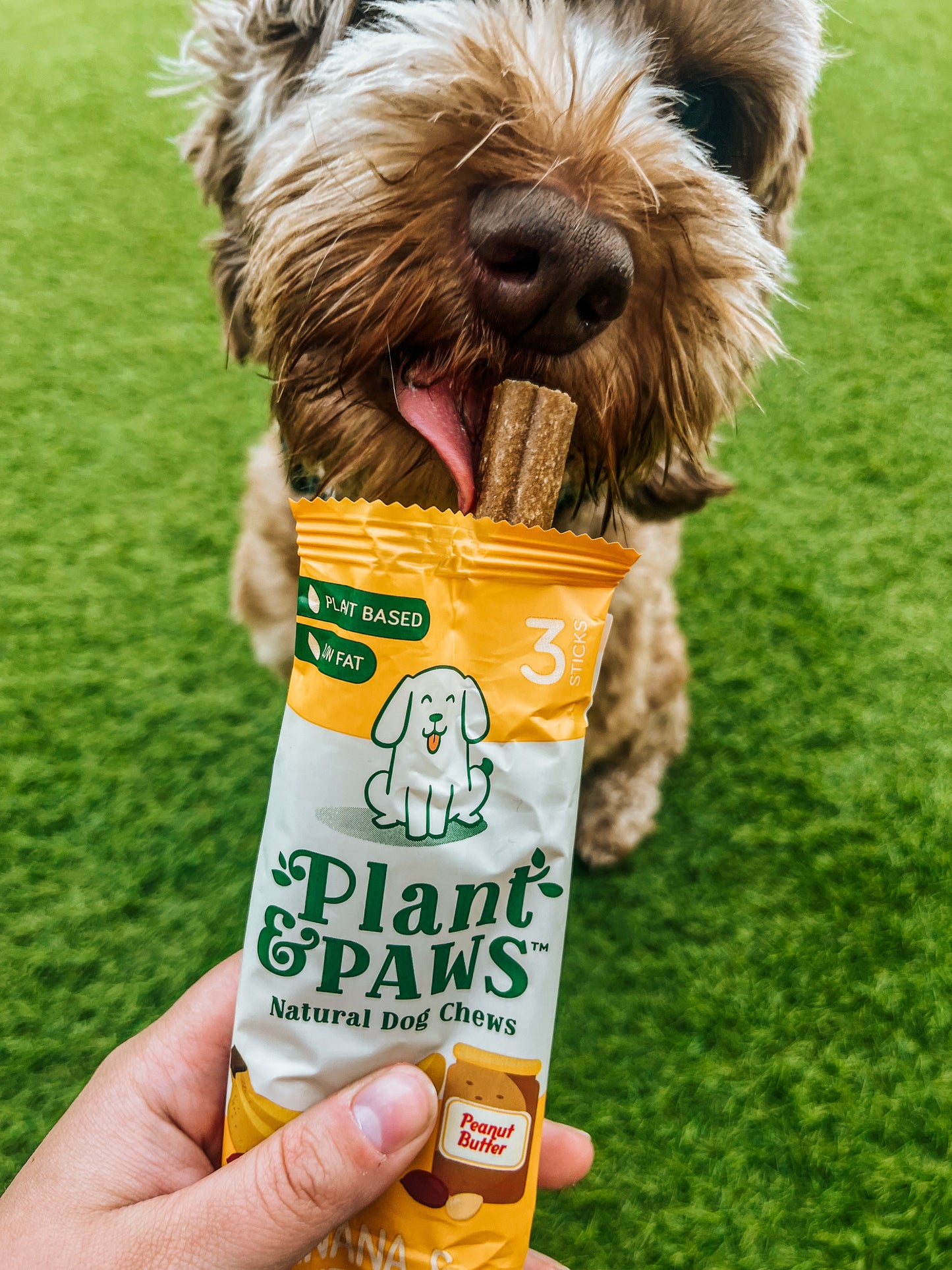 5 Pack Banana and Peanut Butter Dog Chews