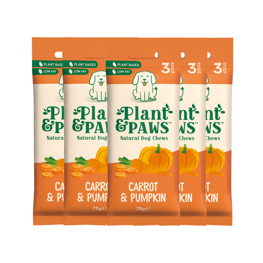 5 Pack Carrot and Pumpkin Dog Chews